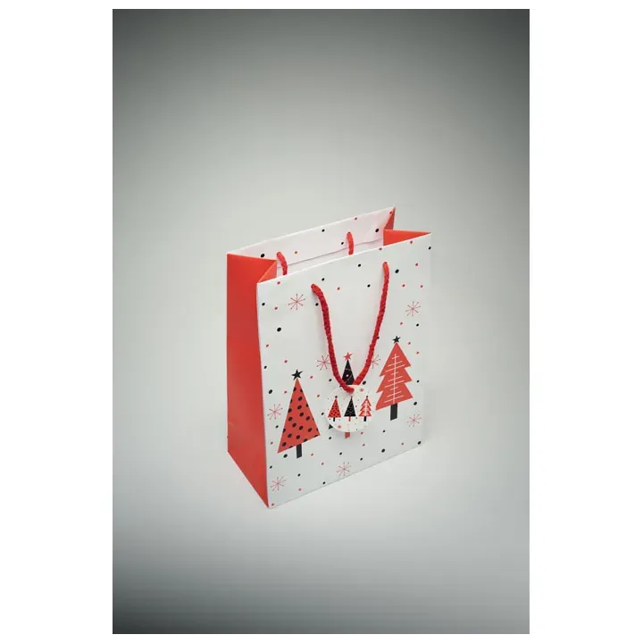 Gift paper bag medium - CX1562 (MOCN#06)
